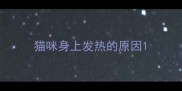 猫咪身上发热的原因