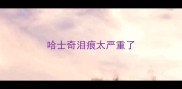 哈士奇泪痕太严重了