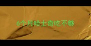 6个月哈士奇吃不够