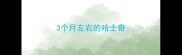 3个月左右的哈士奇