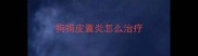 狗狗皮囊炎怎么治疗