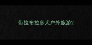 带拉布拉多犬户外旅游