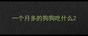 一个月多的狗狗吃什么
