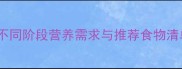 边境牧羊犬科学喂养指南不同阶段营养需求与推荐食物清单附成长关键期对照表