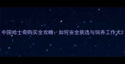 中国哈士奇购买全攻略如何安全挑选与饲养工作犬