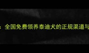 最新指南全国免费领养泰迪犬的正规渠道与注意事项