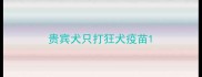 贵宾犬只打狂犬疫苗
