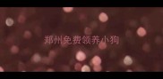 郑州免费领养小狗
