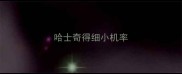哈士奇得细小机率