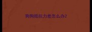 狗狗抵抗力差怎么办