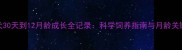 金毛犬30天到12月龄成长全记录科学饲养指南与月龄关键要点