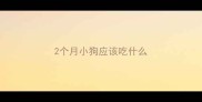 2个月小狗应该吃什么