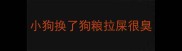 小狗换了狗粮拉屎很臭