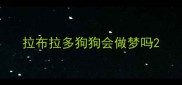 拉布拉多狗狗会做梦吗