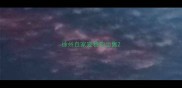 徐州自家宠物狗出售