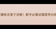 2个月大猫咪关笼子攻略新手必看幼猫笼养训练全流程