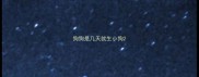 狗狗是几天就生小狗