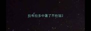 拉布拉多中暑了不吃饭