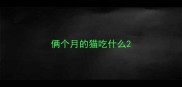 俩个月的猫吃什么