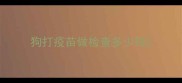 狗打疫苗做检查多少钱