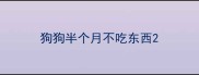 狗狗半个月不吃东西