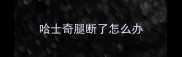 哈士奇腿断了怎么办
