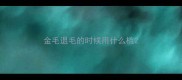 金毛退毛的时候用什么梳