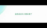 金毛定点大小便太难了