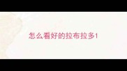怎么看好的拉布拉多