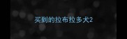 买到的拉布拉多犬