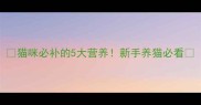 猫咪必补的5大营养新手养猫必看