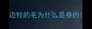 边牧的毛为什么是卷的