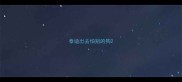 泰迪出去怕别的狗