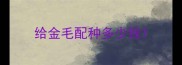 给金毛配种多少钱