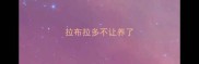 拉布拉多不让养了