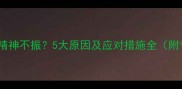 狗狗不吃东西精神不振5大原因及应对措施全附专业兽医建议