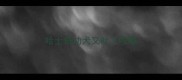 哈士奇幼犬又吐又咳嗽