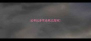 拉布拉多耳朵有点臭味