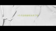 3个月边牧能吃生肉了吗