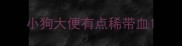 小狗大便有点稀带血