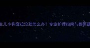新生儿小狗耷拉没劲怎么办专业护理指南与兽医建议