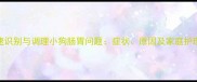 如何快速识别与调理小狗肠胃问题症状原因及家庭护理全指南