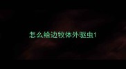 怎么给边牧体外驱虫