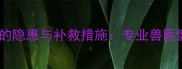 比熊幼犬未接种疫苗的隐患与补救措施专业兽医健康风险及应对方案