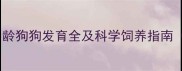 成犬标准1-10月龄狗狗发育全及科学饲养指南附成长时间表