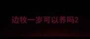 边牧一岁可以养吗