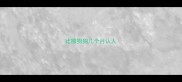 比熊狗狗几个月认人