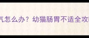 猫咪接种疫苗后胀气怎么办幼猫肠胃不适全攻略附真实案例