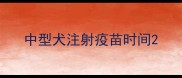 中型犬注射疫苗时间