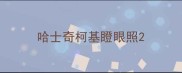 哈士奇柯基瞪眼照
